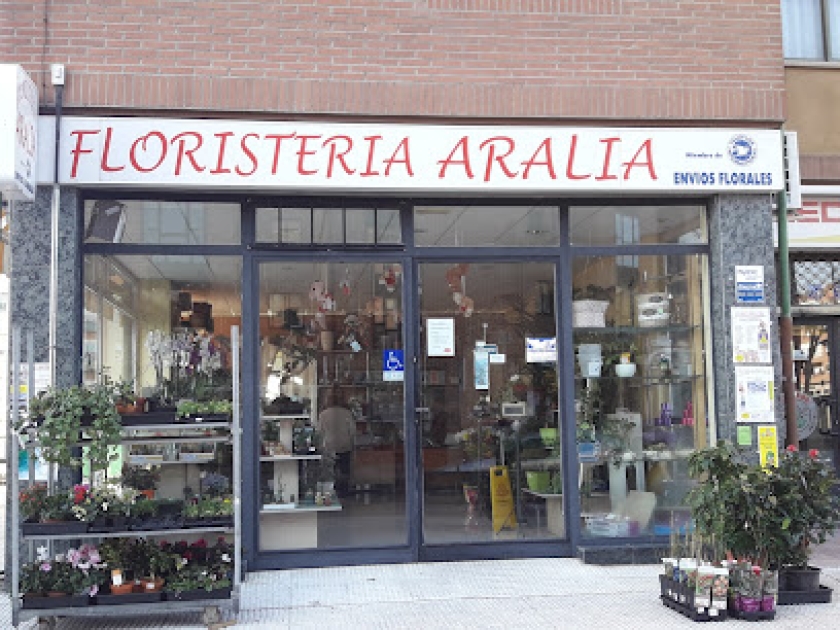 Floristería Aralia
