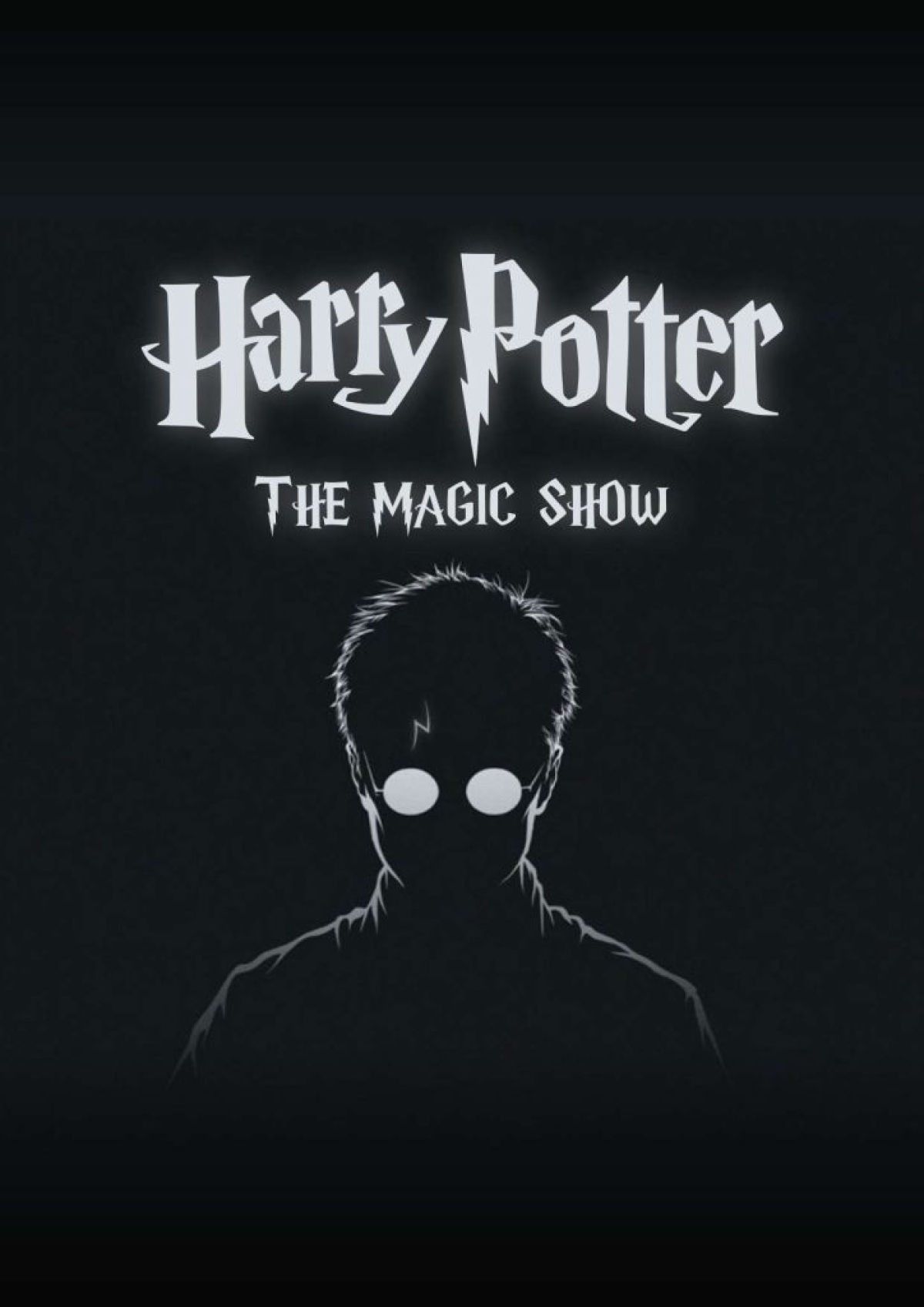 ‘The Magic Show’ – Harry Potter