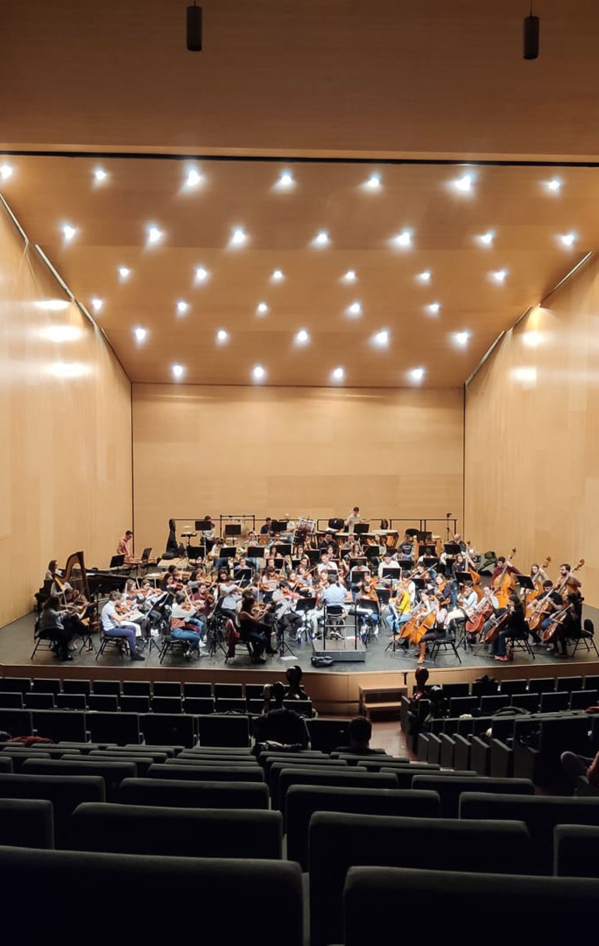 Concierto de verano. Orquesta Sinfónica de Ávila