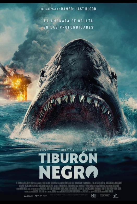 Tiburón negro