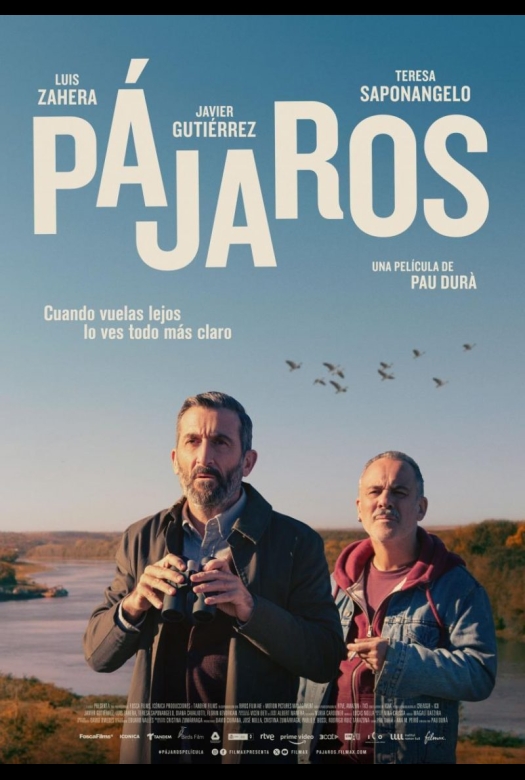 Pájaros