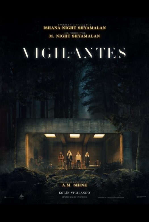 Los vigilantes