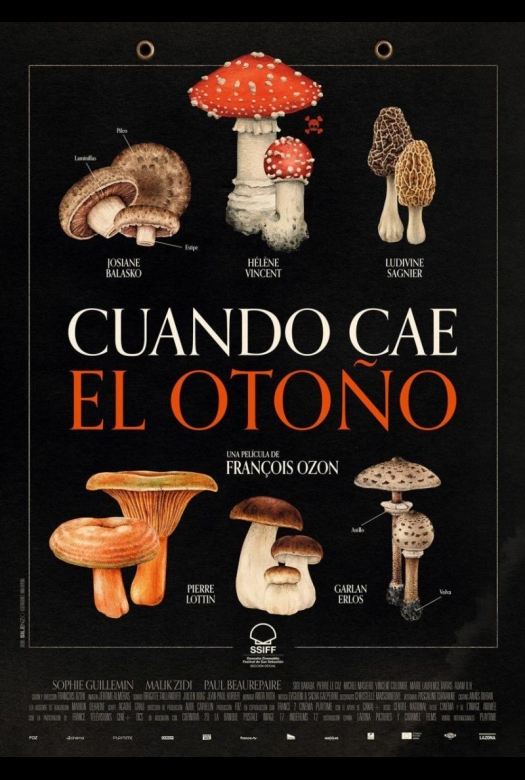 Cuando cae el otoño