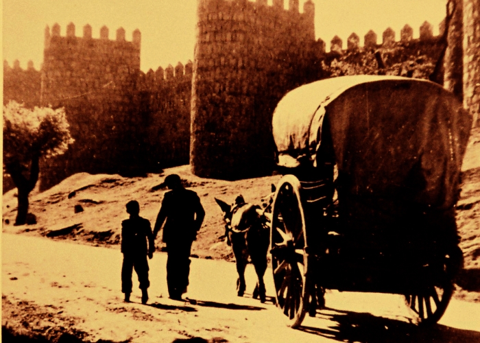 RITUALES, IMAGEN, TRADICIÓN Y UTILIDADES DE LOS CARROS  DE ÁVILA 