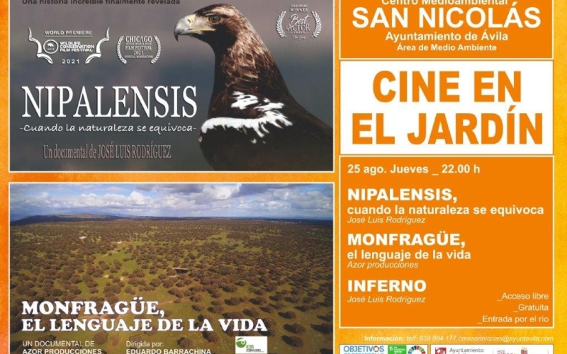 El ciclo 