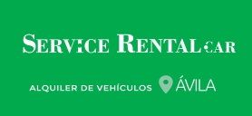 Service Rental Car