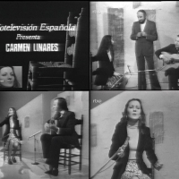 ENCUENTROS EN ÁVILA CON LA CANTAORA CARMEN LINARES (II).  JOVEN  PROFESIONAL DEL CANTE JONDO